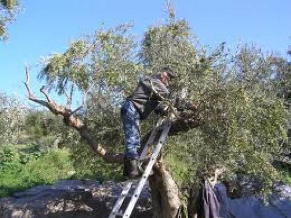 Χρήσιμη επιμόρφωση