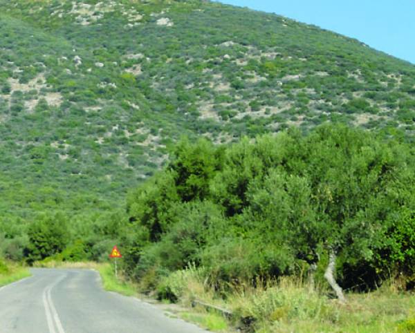 Προτάσεις Λαμπρόπουλου για τους δασικούς χάρτες 