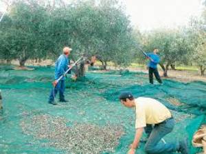 Έστω και δύσκολα προχωράμε μπροστά