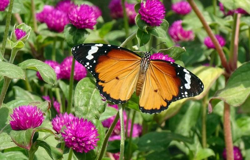 Αστρολογία – 11/04/2023