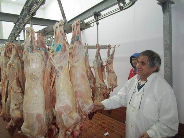 8.000 αρνιά και κατσίκια στα σφαγεία της Καλαμάτας (βίντεο)