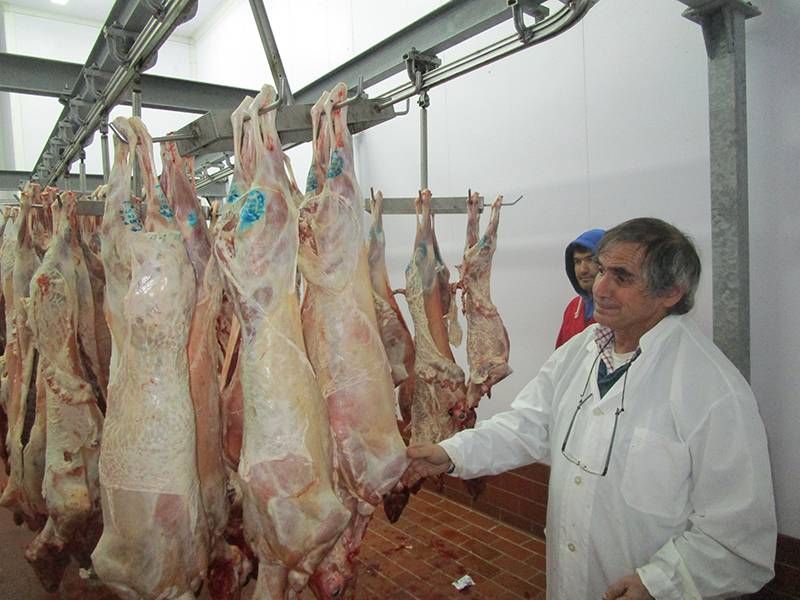 8.000 αρνιά και κατσίκια στα σφαγεία της Καλαμάτας (βίντεο)