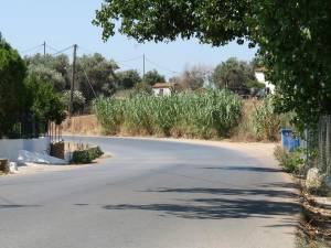 Στενός χωρίς φωτισμό και  διαγράμμιση ο δρόμος για Μεσσήνη - Μπούκα