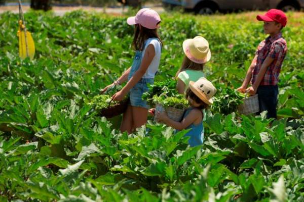 "Μικροί αρχαιολόγοι" και "Μικροί κηπουροί" στην Costa Navarino