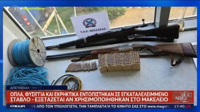 Βορίζια: Εντοπίστηκαν όπλα, φυσίγγια και εκρηκτικά σε στάβλο (βίντεο)
