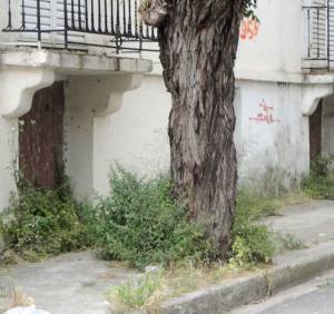 Ξεχασμένη γειτονιά στο κέντρο της πόλης