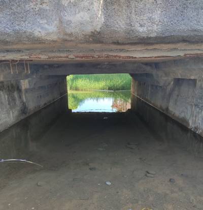 Μετά από διαμαρτυρίες και δημοσιεύματα: Η Περιφέρεια επεμβαίνει στο Πολιτέϊκο