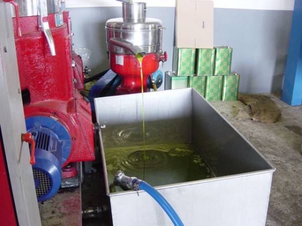 Μύθοι και αλήθειες για το λάδι