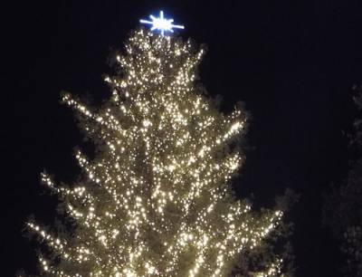 Φωταγώγηση δέντρου στο Μελιγαλά