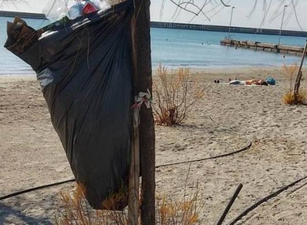 Σακούλες πάνω στα δέντρα