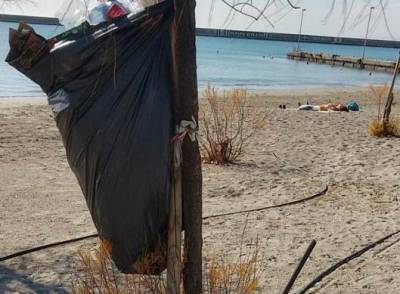 Σακούλες πάνω στα δέντρα