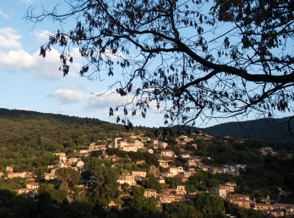 Πλήθος δράσεων στη Βαμβακού Λακωνίας
