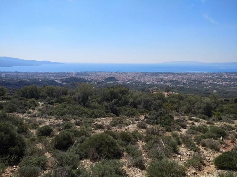 Γιατί οι νέοι φεύγουν από  τον &quot;ευλογημένο τόπο&quot;;
