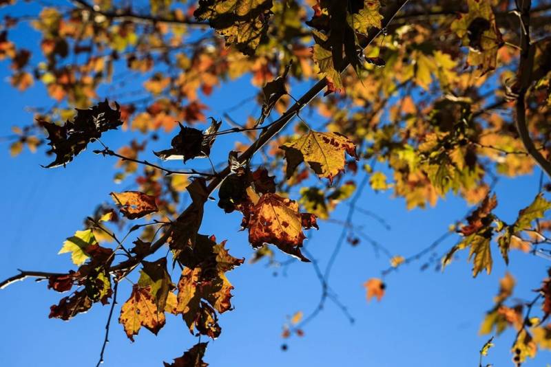 Άστατος ο καιρός σήμερα και αύριο (Βίντεο)