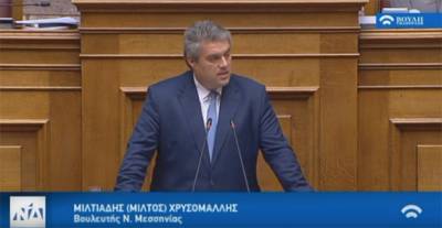 Η πρώτη ομιλία του Μίλτου Χρυσομάλλη στην Ολομέλεια της Βουλής (βίντεο)