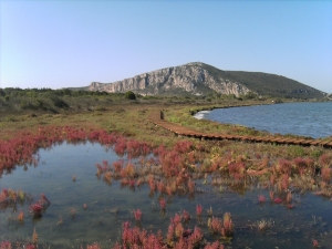 Ολοκληρώθηκαν οι αεροψεκασμοί για την καταπολεμηση κουνουπιών στη Γιάλοβα