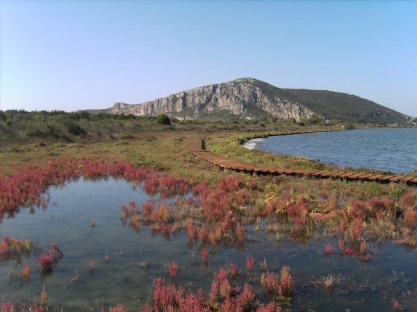 Ολοκληρώθηκαν οι αεροψεκασμοί για την καταπολεμηση κουνουπιών στη Γιάλοβα