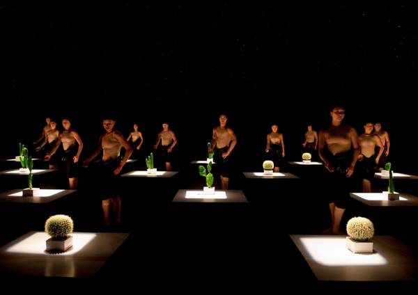 5 υποψήφιες για τη θέση της Καλλιτεχνικής Διευθύντριας του Διεθνούς Φεστιβάλ Χορού Καλαμάτας