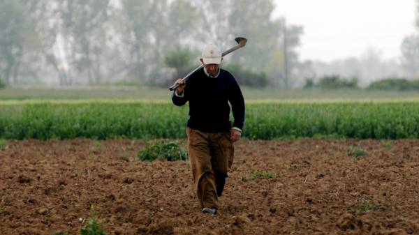 Πρόγραμμα για ανάπτυξη γεωργικών εκμεταλλεύσεων στην Περιφέρεια Πελοποννήσου
