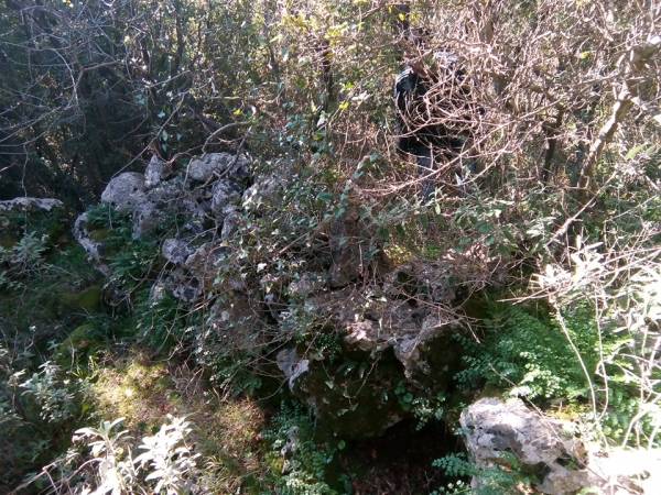 Επιτροπή Αγώνα Μάνης: Καταγγέλλουν το Δασαρχείο για τους δασικούς χάρτες