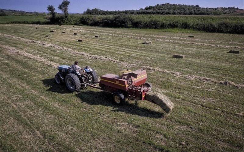 1.101 νέοι αγρότες στην Πελοπόννησο