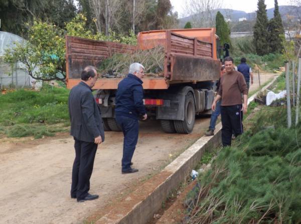 7.000 νέα φυτά στο Δήμο Καλαμάτας
