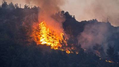 Μεσσηνία: Μεγάλη πυρκαγιά στο Βασιλίτσι