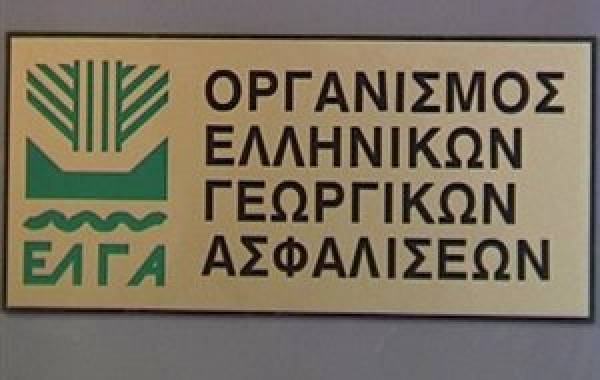 Διαμαρτυρία κτηνοτρόφων της Πελοποννήσου στον ΕΛΓΑ Τρίπολης για τον καταρροϊκό