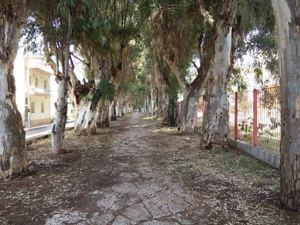 Προσπάθεια ένταξης έργων κτηριακών υποδομών στο “Αντώνης Τρίτσης” (βίντεο)