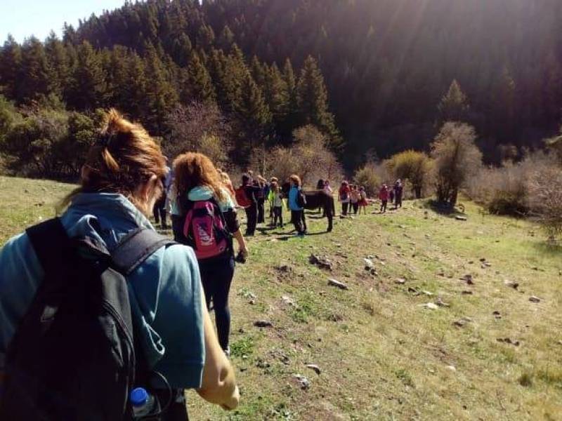 Οι πεζοπορικές δράσεις του “Ευκλή” το Νοέμβριο