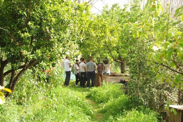 Ανταλλαγή σπόρων στο αγρόκτημα Φοίφα