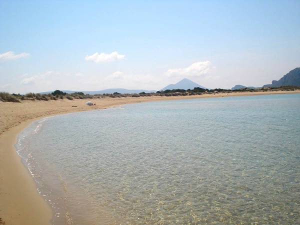 Εθελοντικός καθαρισμός στην περιοχή Πύλου - Γιάλοβας