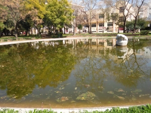 &quot;Εφαγαν&quot; τις πάπιες στο πάρκο σιδηροδρόμων