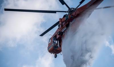 Καλάβρυτα: Φωτιά σε δασική έκταση στην περιοχή Μάνεσι - Κινητοποιήθηκαν επίγειες και εναέριες δυνάμεις