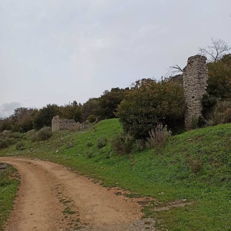Χωράφια και μαντριά χωρίς νοικοκυραίους