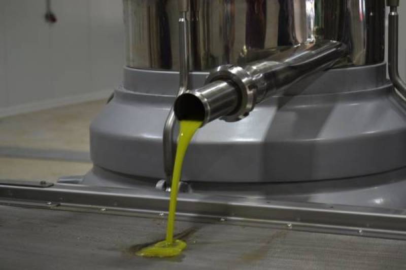 Απάντηση ΣΥΡΙΖΑ σε Βορίδη για τη στήριξη της ελαιοπαραγωγής