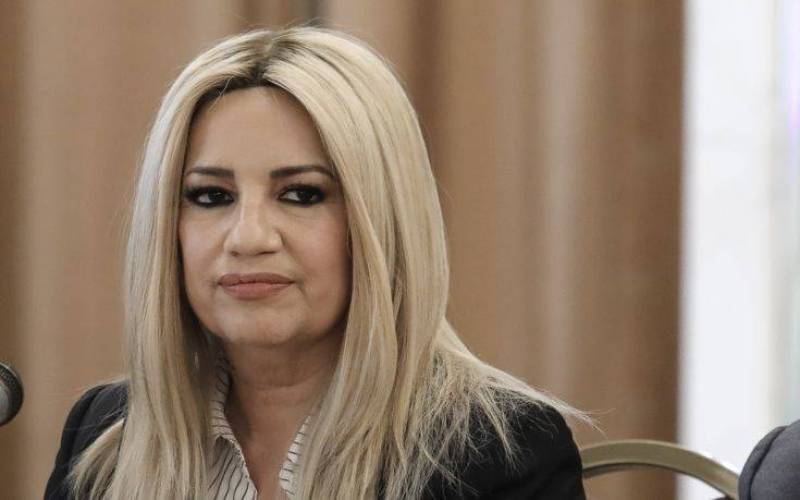 Φώφη Γεννηματά: Η Ευρώπη να βάλει stop στις τουρκικές προκλήσεις