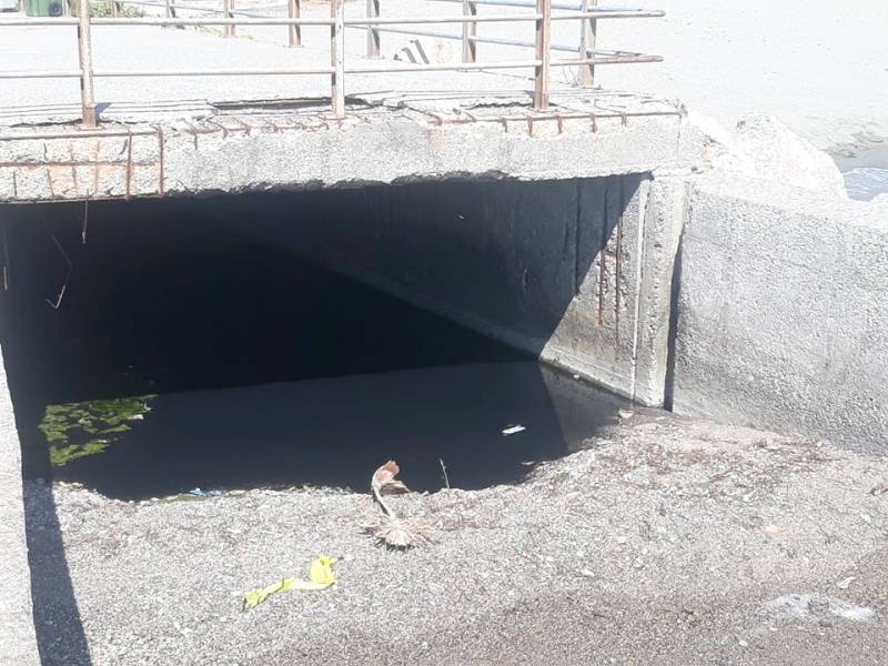 Κινητοποίηση για ρύπανση στην Παραλία της Καλαμάτας (φωτογραφίες)