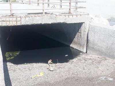 Κινητοποίηση για ρύπανση στην Παραλία της Καλαμάτας (φωτογραφίες)