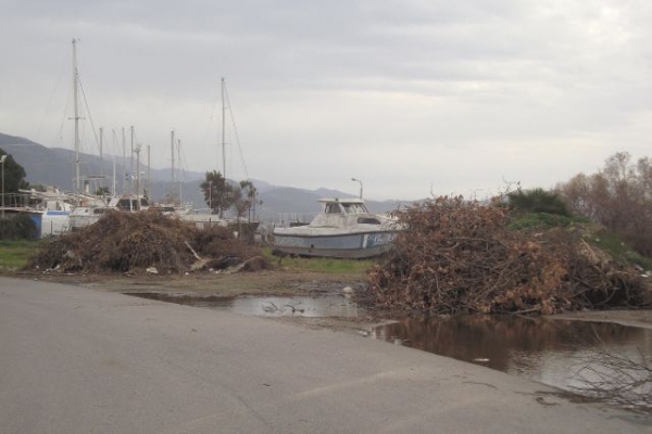 Ξερόχορτα για… ντεκόρ