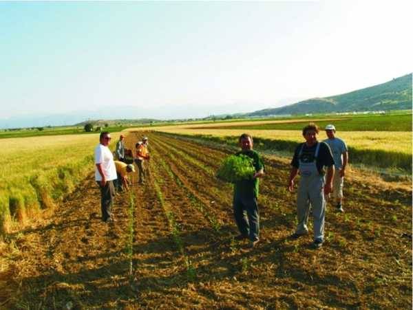 Πως θα φορολογηθούν φέτος οι αγρότες