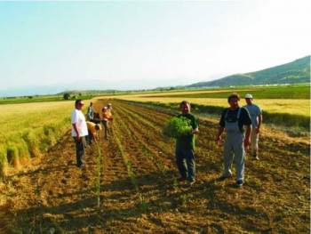 Πως θα φορολογηθούν φέτος οι αγρότες