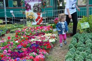 Τέλος Μαΐου η 2η Ανθοκομική Εκθεση Καλαμάτας