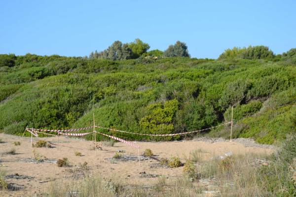 Μεσσηνία: Δύο συλλήψεις για τη δολοφονία του 31χρονου στον Καρτελά Κυπαρισσίας - Κίνητρο η ληστεία!