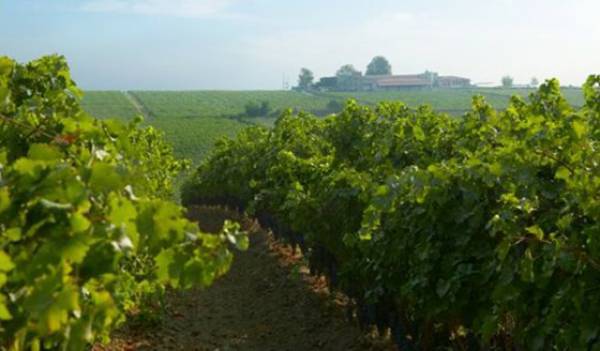 Οδηγίες για την εφαρμογή της ζιζανιοκτονίας