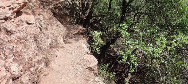 Χρειάζεται συντήρηση το μονοπάτι στη Νέδα