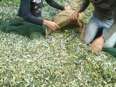 Να σταματήσουν τα παραμύθια για την αγροτική παραγωγή