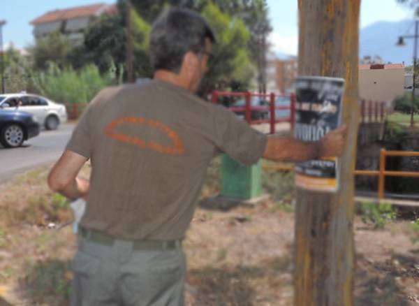 ΠΑΜΕ κατά Νίκα για τα πρόστιμα για αφισορύπανση