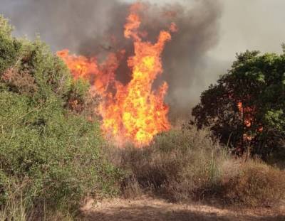 Υψηλός κίνδυνος πυρκαγιάς και σήμερα στη Μεσσηνία