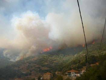 Προς Λάμπαινα κατευθύνεται η φωτιά